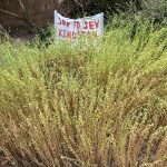 Community Heritage Harvest Day